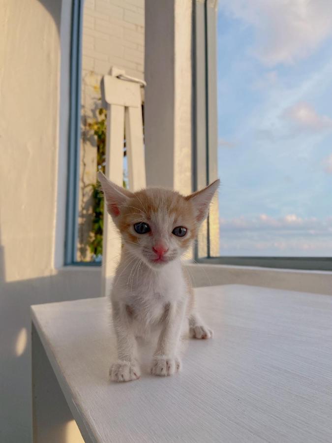 Kenting Met Hi Inn Cape Eluanbi Buitenkant foto